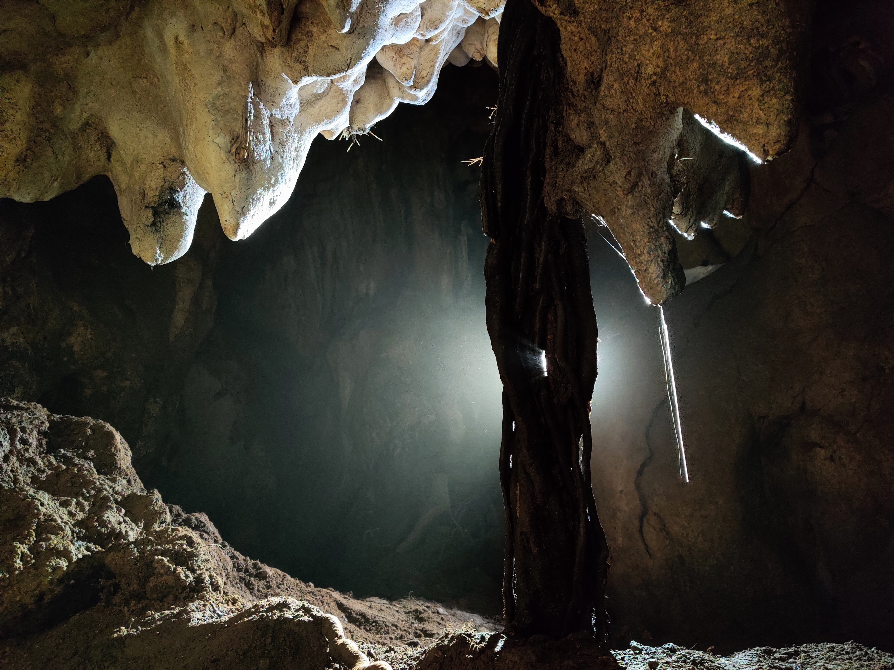 Peștera Sanela - Image 7